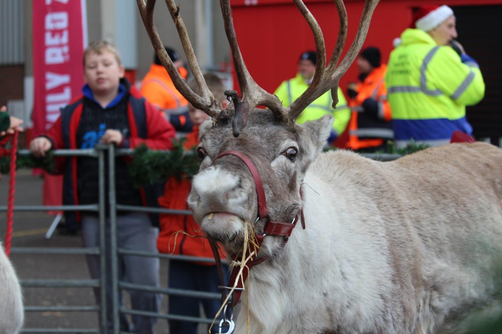 VIDEO - Gli auguri di Natale delle squadre: Il Nottingham Forest porta le renne allo stadio