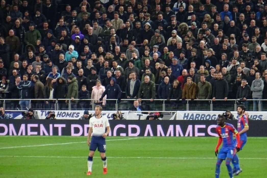 Il Tottenham ha diffidato alcuni tifosi per aver visto la partita in piedi