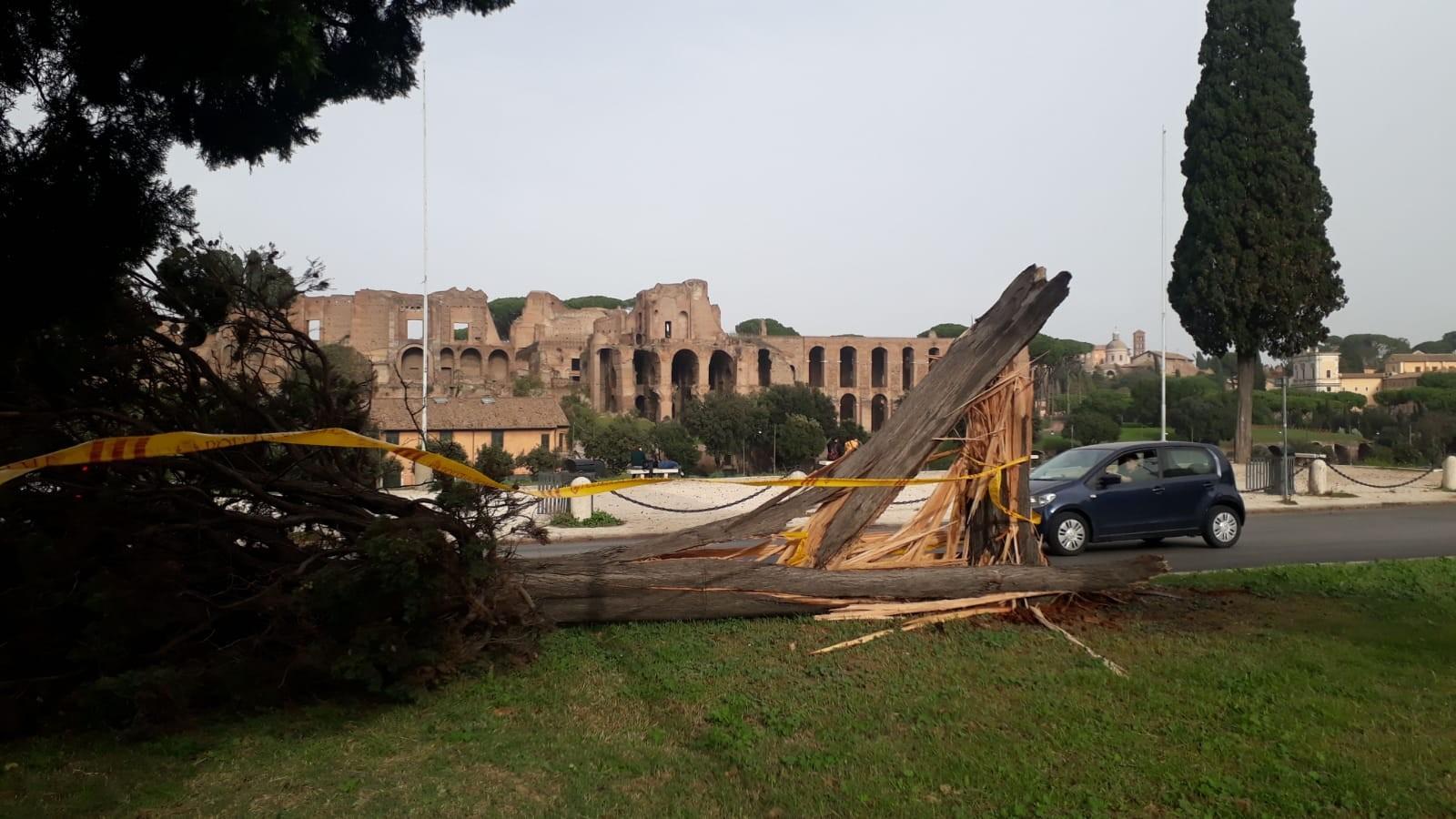 Roma, i danni del maltempo: alberi caduti sul lungotevere e strade bloccate