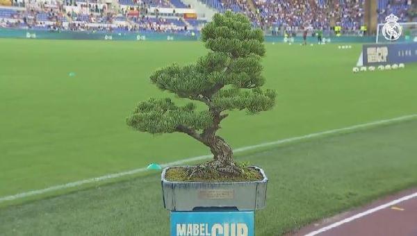 18952_76wuy01.jpg?t=pw33ee