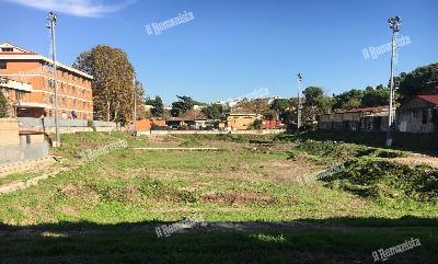 FOTO - A Campo Testaccio è ricresciuta l'erba: fate in fretta FOTO - A Campo Testaccio è ricresciuta l'erba: fate in fretta