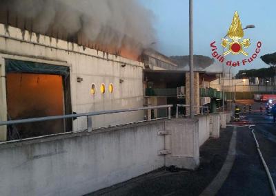 FOTO - Roma, incendio nella discarica di via Salaria: nube di fumo e odore acre FOTO - Roma, incendio nella discarica di via Salaria: nube di fumo e odore acre