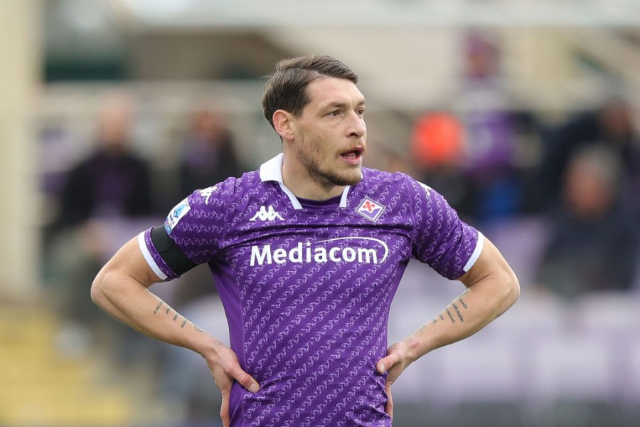 Belotti in campo durante Fiorentina-Frosinone