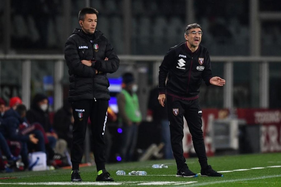 Ivan Juric, allenatore del Torino