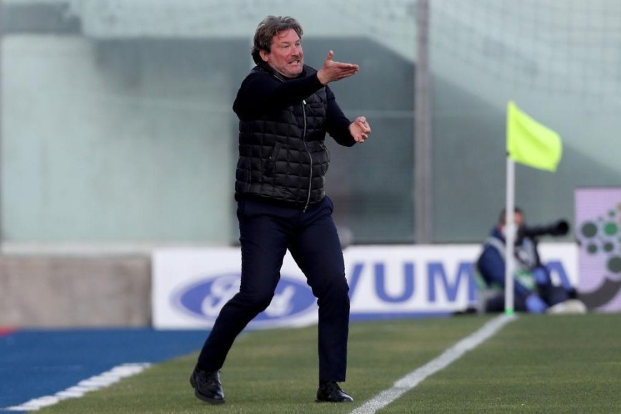 Giovanni Stroppa, allenatore del Monza (Getty Images)