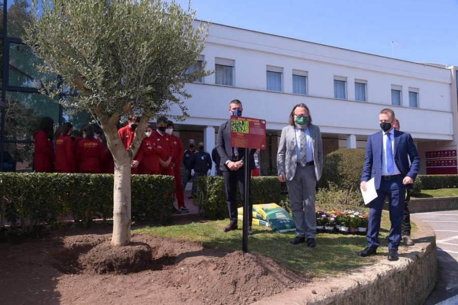 L'evento tra la Roma e Roma Natura in cui sono stati impiantati tre ulivi (As Roma via Getty Images)