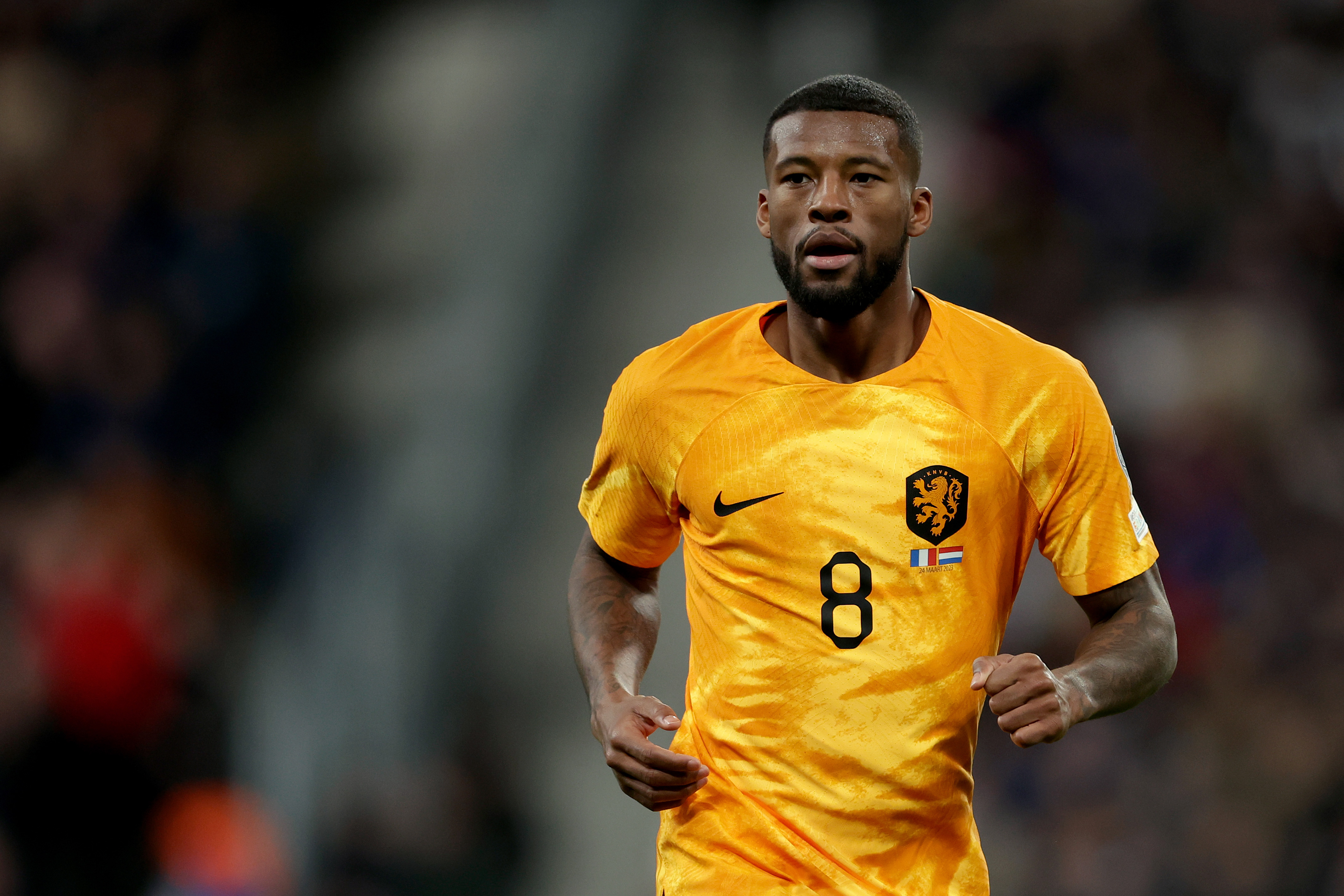 Wijnaldum in campo con l'Olanda nella partita contro la Francia